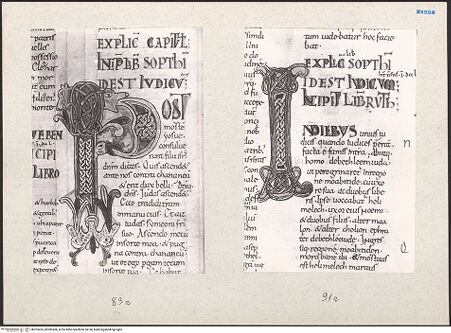 Vorderseite von bh203455_bh203456_recto