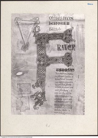 Vorderseite von bh203463_recto