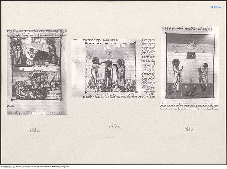 Vorderseite von bh203504_bh203505_bh203506_recto