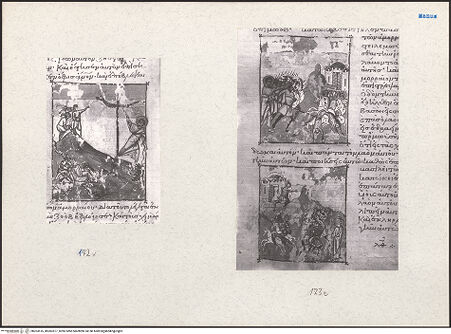 Vorderseite von bh203516_bh203517_recto