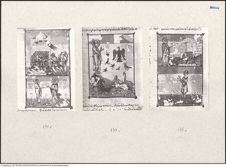 Vorderseite von bh203543_bh203544_bh203545_recto