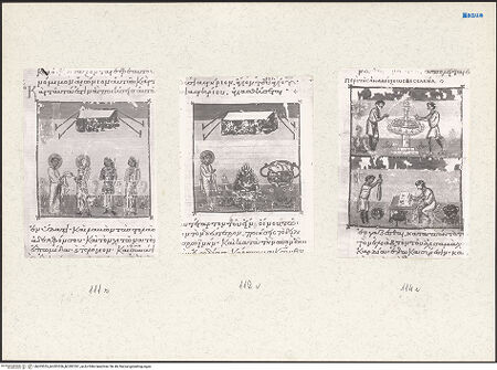 Vorderseite von bh203555_bh203556_bh203557_recto