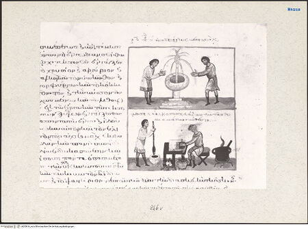 Vorderseite von bh203616_recto