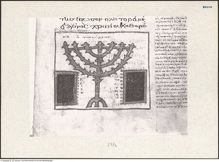 Vorderseite von bh203621_recto