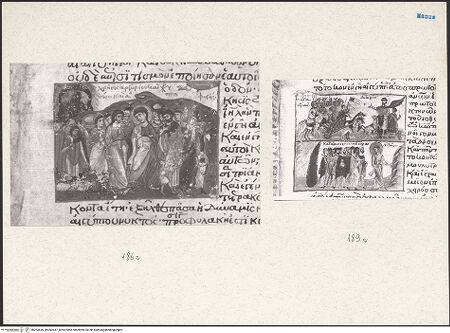 Vorderseite von bh203636_bh203637_recto