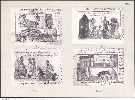 Vorderseite von bh203682_bh203683_bh203684_bh203685_recto