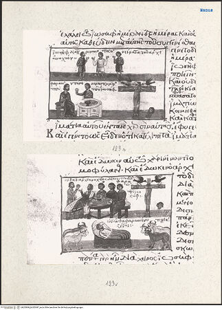 Vorderseite von bh203686_bh203687_recto