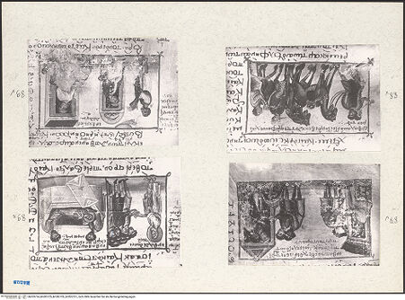 Vorderseite von bh203724_bh203725_bh203726_bh203727_recto