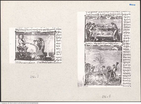 Vorderseite von bh203774_bh203775_recto