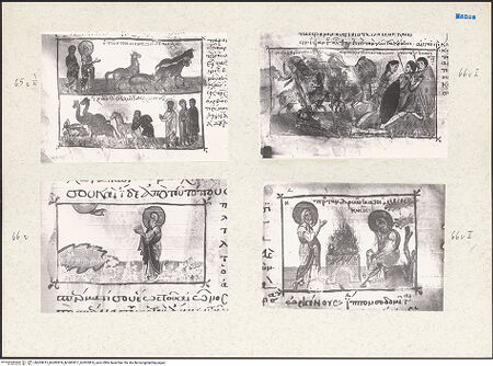 Vorderseite von bh203815_bh203816_bh203817_bh203818_recto