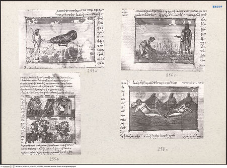 Vorderseite von bh203829_bh203830_bh203831_bh203832_recto