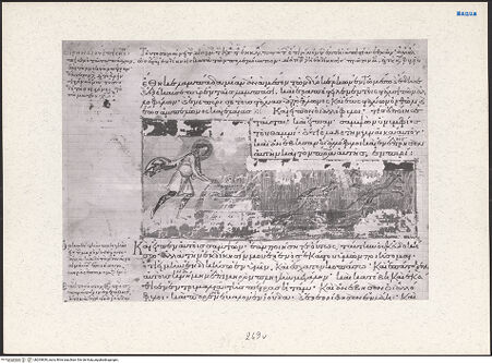 Vorderseite von bh203839_recto