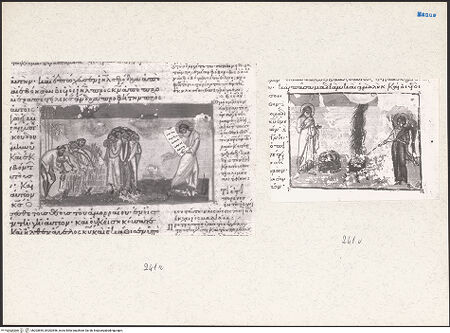 Vorderseite von bh203855_bh203856_recto