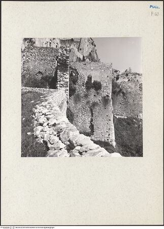 Vorderseite von bh203924_recto