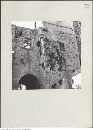 Vorderseite von bh203935_recto