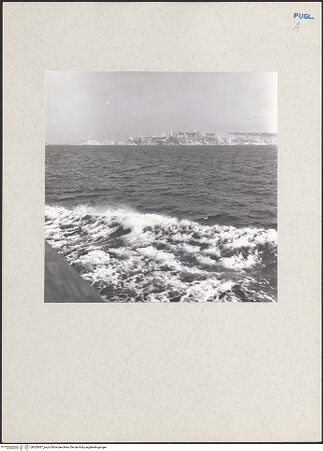 Vorderseite von bh203937_recto