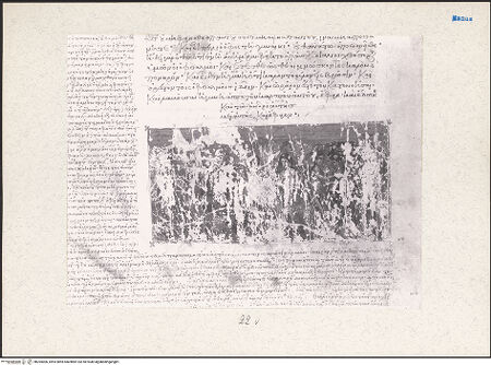 Vorderseite von bh204006_recto