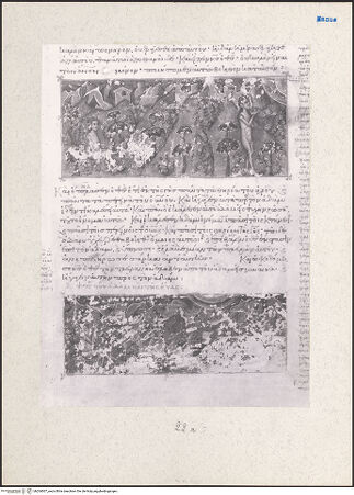 Vorderseite von bh204007_recto