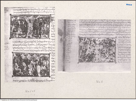 Vorderseite von bh204045_bh204046_recto