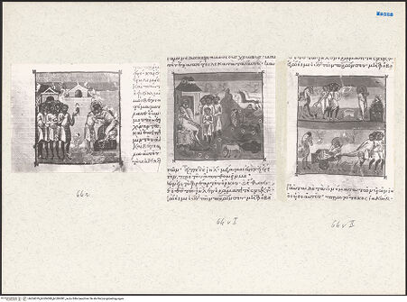 Vorderseite von bh204079_bh204080_bh204081_recto