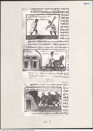 Vorderseite von bh204149_bh204150_recto