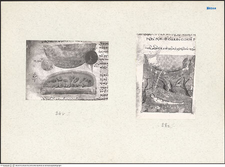 Vorderseite von bh204195_bh204196_recto