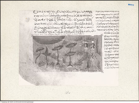 Vorderseite von bh204201_recto