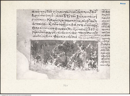 Vorderseite von bh204205_recto