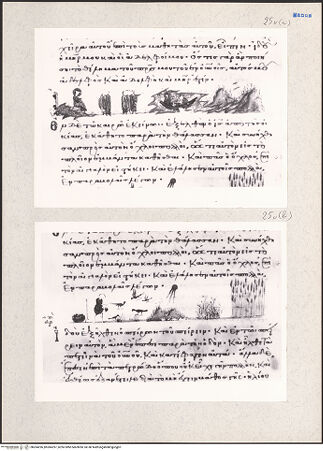 Vorderseite von bh204296_bh204297_recto