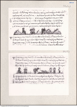 Vorderseite von bh204316_bh204317_recto