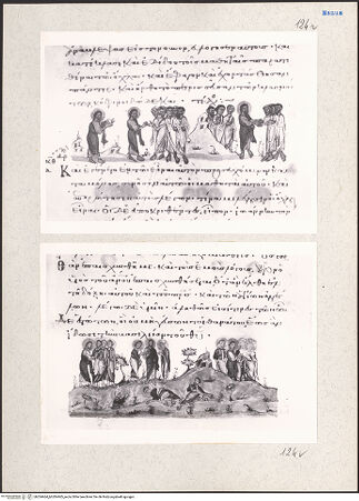 Vorderseite von bh204464_bh204465_recto