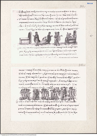 Vorderseite von bh204483_bh204484_recto