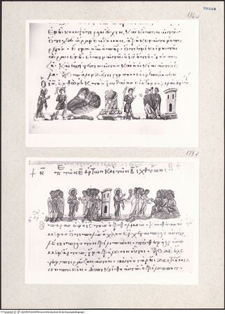 Vorderseite von bh204505_bh204506_recto