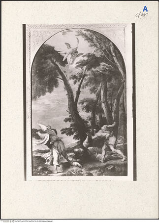 Vorderseite von bh204605_recto