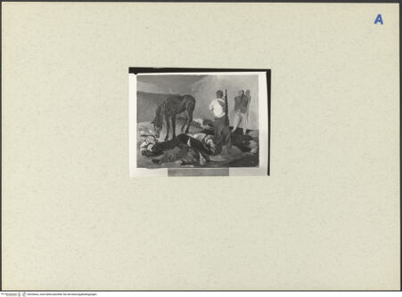 Vorderseite von bh204642_recto