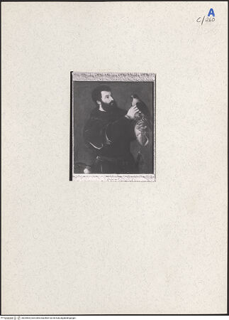 Vorderseite von bh204643_recto