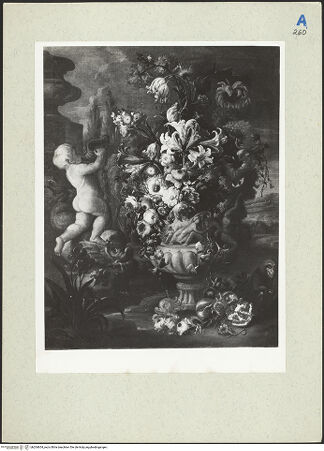 Vorderseite von bh204654_recto