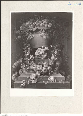 Vorderseite von bh204658_recto