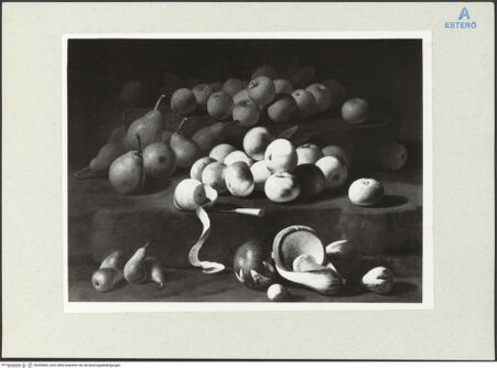 Vorderseite von bh204662_recto