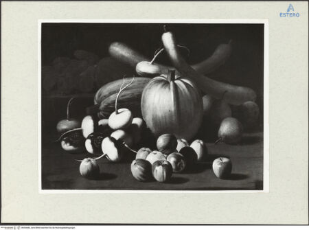 Vorderseite von bh204663_recto