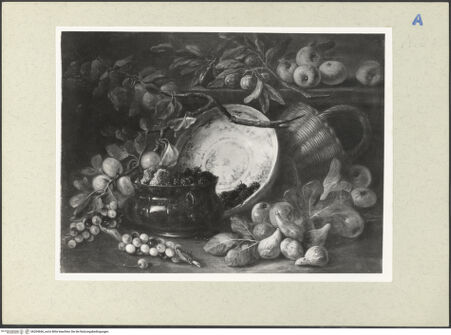 Vorderseite von bh204666_recto