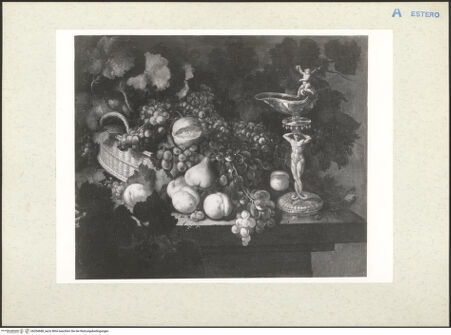 Vorderseite von bh204688_recto