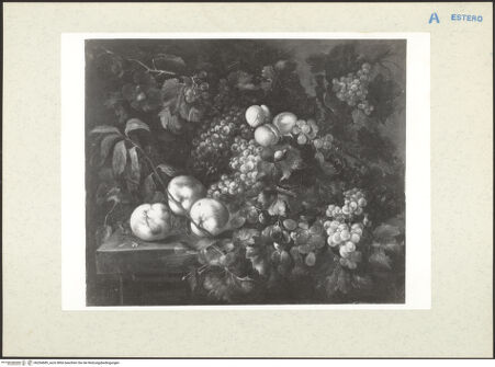 Vorderseite von bh204689_recto