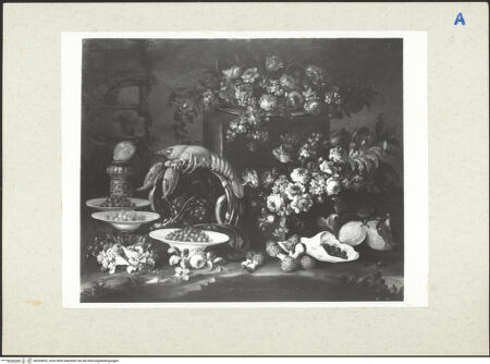 Vorderseite von bh204692_recto