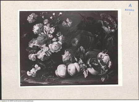 Vorderseite von bh204697_recto