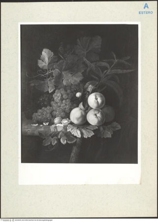 Vorderseite von bh204699_recto