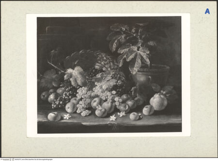 Vorderseite von bh204707_recto