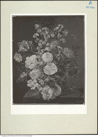 Vorderseite von bh204708_recto