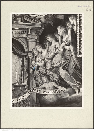 Vorderseite von bh204859_recto