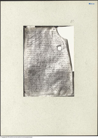 Vorderseite von bh204993_recto